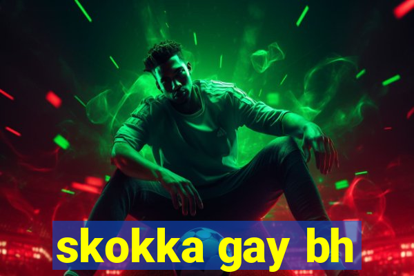 skokka gay bh